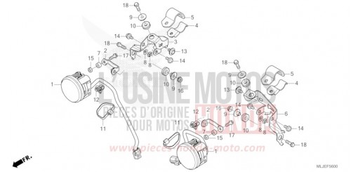 PHARE ANTIBROUILLARD GL1800DAR de 2024